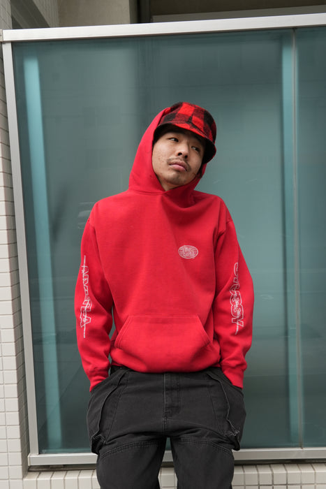 STUSSY world logo hoodie