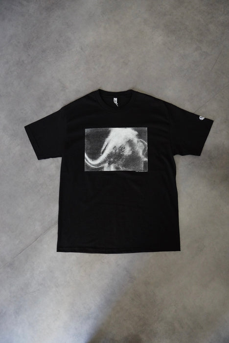 432 象の叫びtee black L