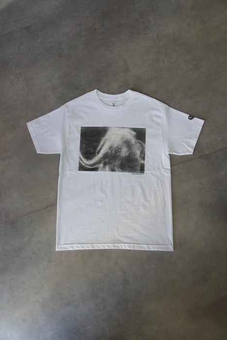 432 象の叫びtee white XL