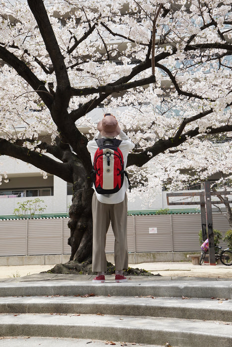 00s Timberland backpack